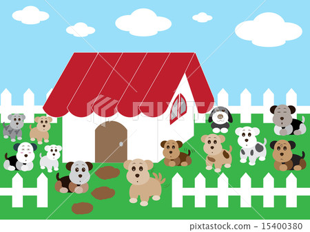 cute home cute dogs 15400380