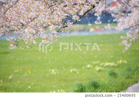 Kitakami Exhibition Katsuchi Kitakami Exhibition Katsuchi 15400695