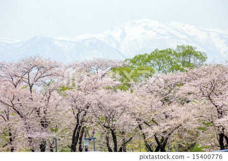 Kitakami Exhibition Katsuchi 15400776