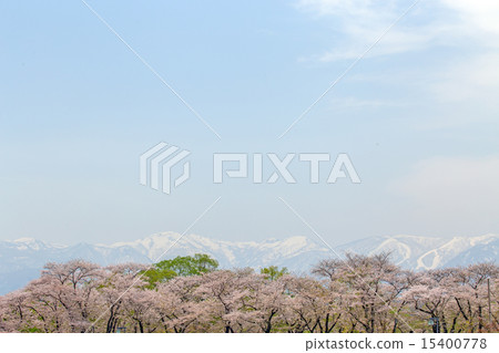 Kitakami Exhibition Katsuchi Kitakami Exhibition Katsuchi 15400778