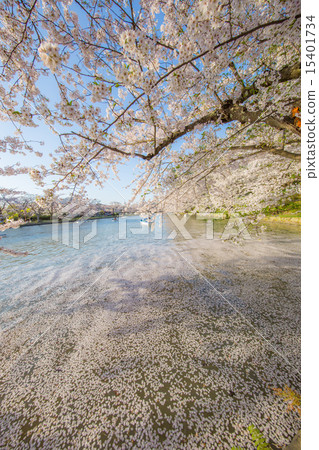 弘前公園 弘前公園 15401734