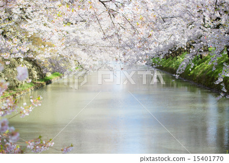 弘前公園 15401770