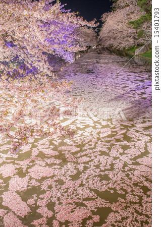 弘前公園 弘前公園 15401793