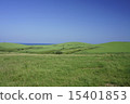 大豆山的草地 15401853