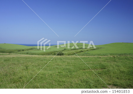 大豆山的草地 大豆山的草地 15401853