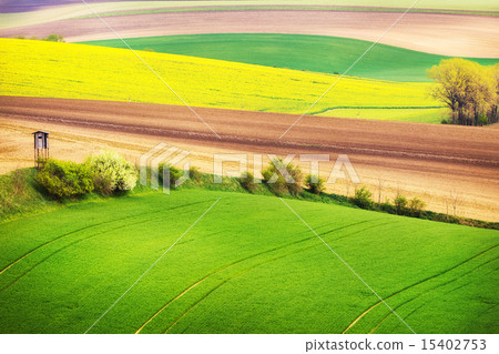 Field waves with trees, South Moravia 15402753