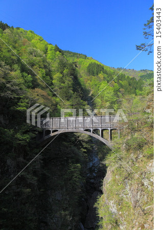 黑部峽谷水橋橋樑 15403443