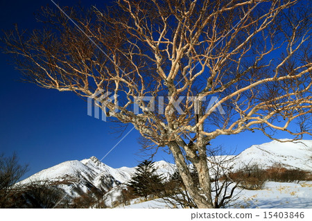 Nasu Asahi-dake在冬天 15403846