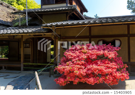 Kirishima Ko的Shogendo 15403905