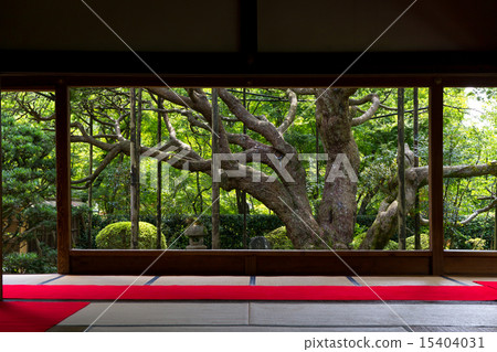 TakaraIzumiin 15404031