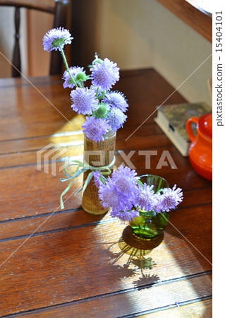 Scabiosa裝飾在桌子上 15404101