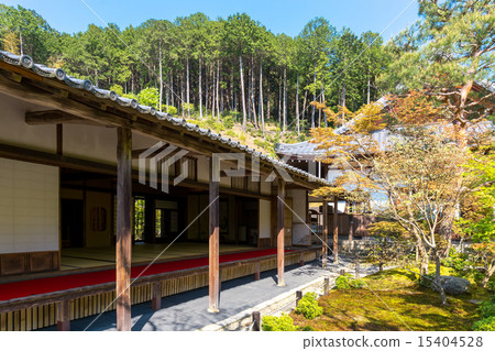 Enkoji - Fresh green 15404528