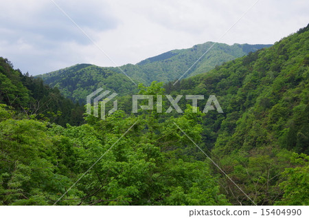 Mountain of fresh green _ mountain of Japan 15404990