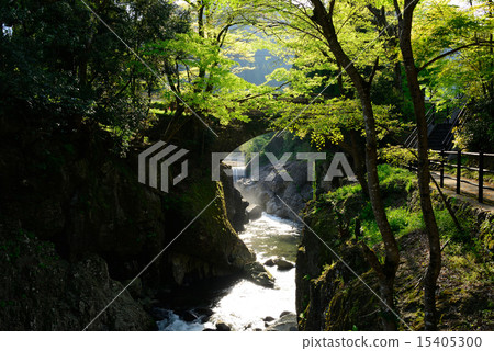 Sarutobi Chunkyo Gorge 15405300