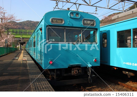 Yamaji Ridge車站和Hanwa Line 103系列列車的櫻花 15406311