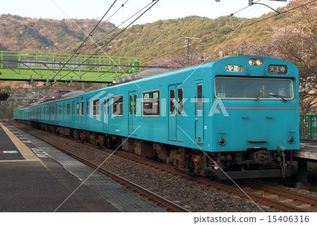 Yamaji Ridge車站和Hanwa Line 103系列列車的櫻花 15406316