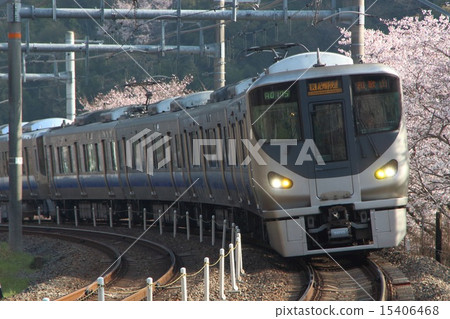 Cherry blossoms at Yamaji Ridge Station and Hanwa Line 225 train Cherry blossoms at Yamaji Ridge Station and Hanwa Line 225 train 15406468
