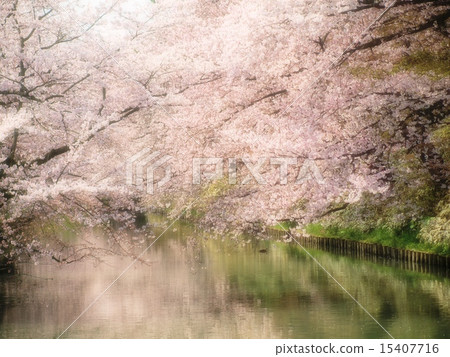 Cherry blossoms and water surface like Impressionist paintings Cherry blossoms and water surface like Impressionist paintings 15407716