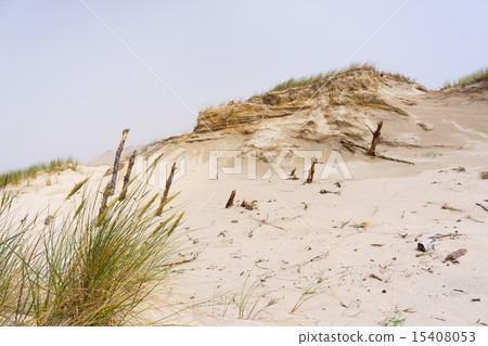 Dunes in foggy weather in  Leba, Poland. 15408053