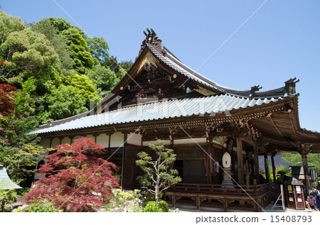 The cathedral 15408793