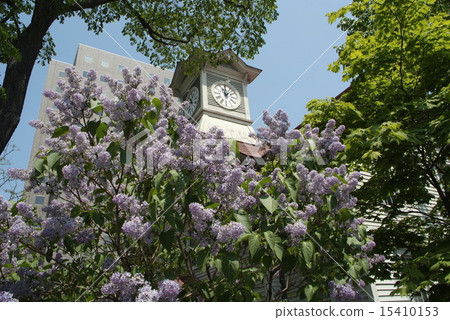 札幌市鐘樓春天 札幌市鐘樓春天 15410153