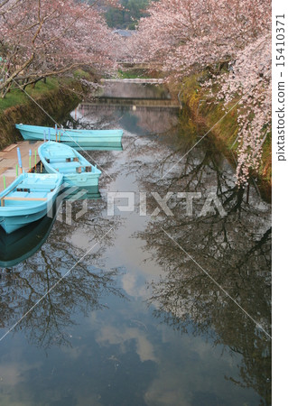 A boat on a river and a cherry tree appearing on the surface of the water 15410371