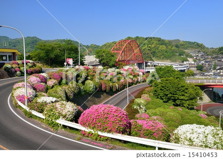 Aoi Ohashi in early summer 15410453