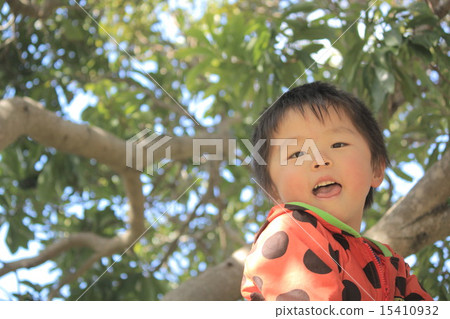 Climbing a tree Climbing a tree 15410932