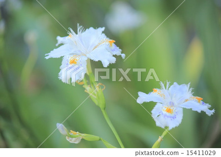 一百八十 一百八十 15411029