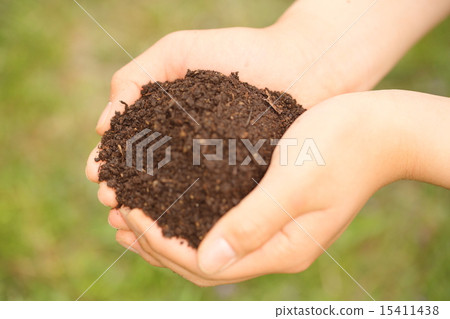 Take soil Take soil 15411438