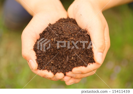 Take soil Take soil 15411439