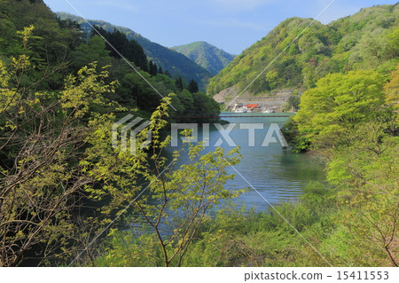 新鮮的綠色Shogawa峽谷遊船 15411553
