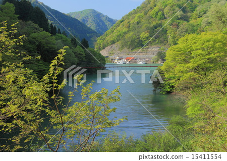 新鮮的綠色Shogawa峽谷遊船 新鮮的綠色Shogawa峽谷遊船 15411554
