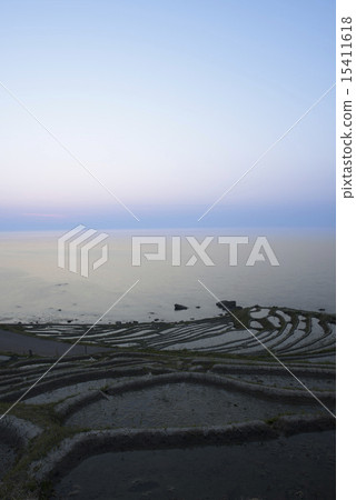 Rice terraces Rice terraces 15411618