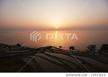 Rice terraces 15411619