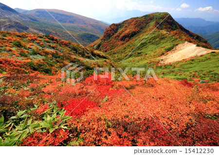 Look for Nasu / Retirement Kuraki of autumn leaves Look for Nasu / Retirement Kuraki of autumn leaves 15412230