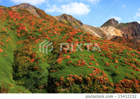 從Nasu和Kumami Sone看見的秋季葉子邊緣 15412232