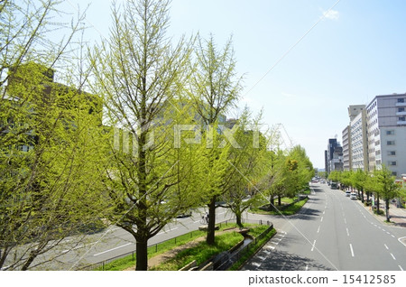 Fresh green Koro Horikawa 15412585