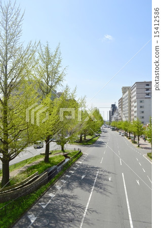 Fresh green Koro Horikawa 15412586