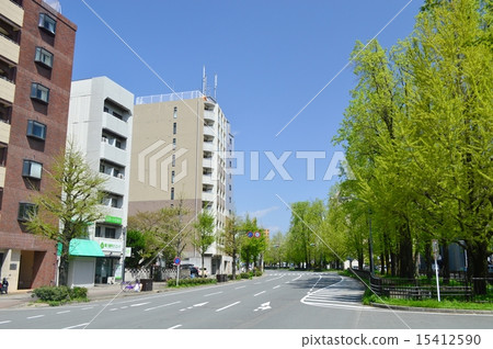 Fresh green Koro Horikawa 15412590