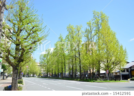 Fresh green Koro Horikawa 15412591