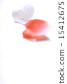 花瓣 15412675