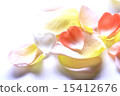 花瓣 15412676