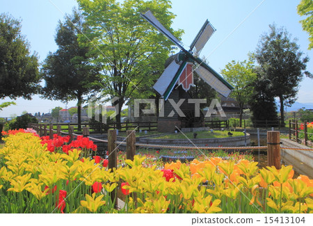 礪波鬱金香公園 礪波鬱金香公園 15413104