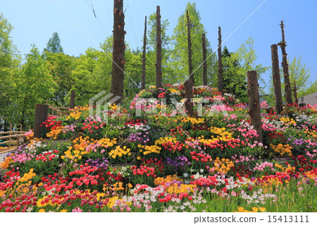 礪波鬱金香公園 礪波鬱金香公園 15413111