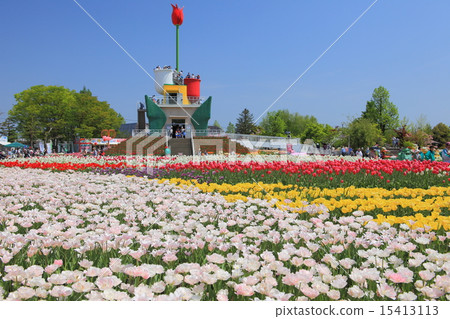 礪波鬱金香公園 礪波鬱金香公園 15413113