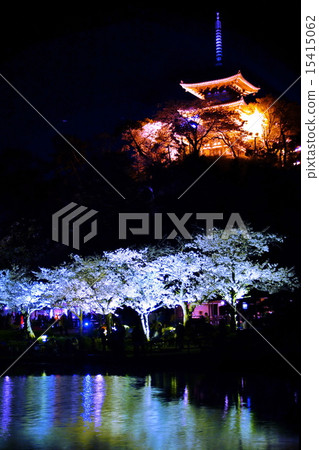 Yokohama-shi Sankei-en Gaien, Oike, Old Lightmyoji Triple Tower (Important Cultural Property) Night Cherry Lights Up Yokohama-shi Sankei-en Gaien, Oike, Old Lightmyoji Triple Tower (Important Cultural Property) Night Cherry Lights Up 15415062