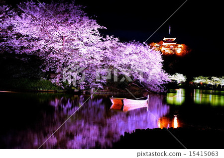 Yokohama-shi Sankei-en Gaien, Oike, Old Lightmyoji Triple Tower (Important Cultural Property) Night Cherry Lights Up Yokohama-shi Sankei-en Gaien, Oike, Old Lightmyoji Triple Tower (Important Cultural Property) Night Cherry Lights Up 15415063
