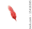 紅羽毛 15416385