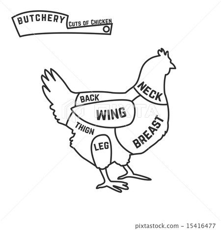 Cuts of chicken butcher diagram 15416477